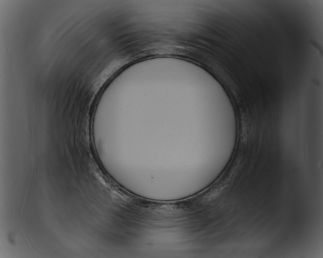 X0000103290986200809261245