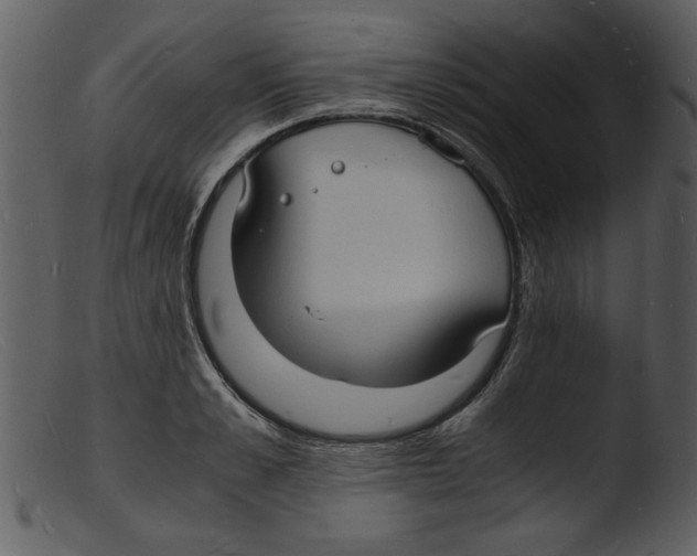 X0000103290989200809261245