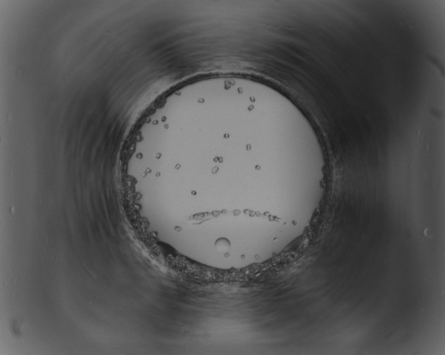 X0000103290990200809261245