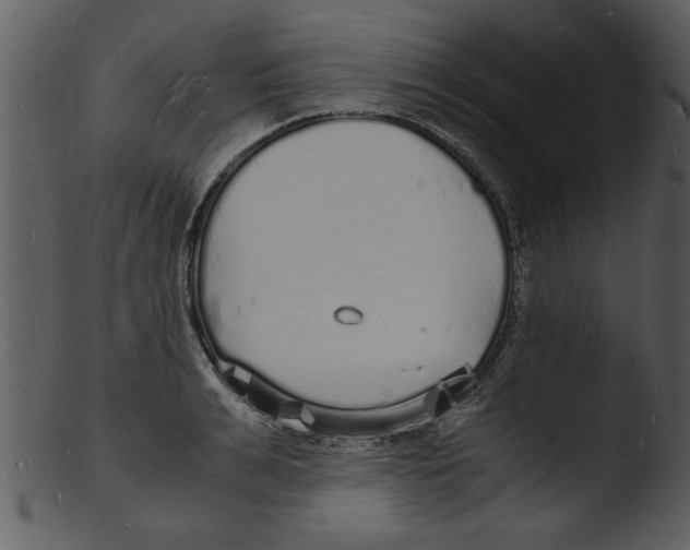 X0000103290991200809261245