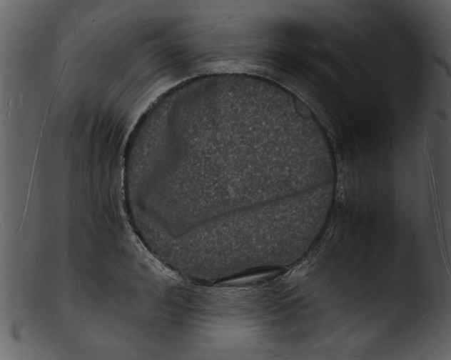 X0000103290992200809261245