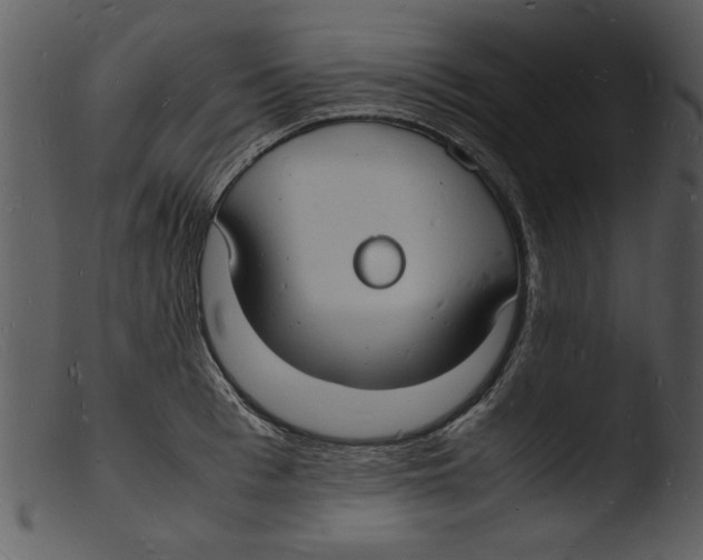 X0000103290993200809261245