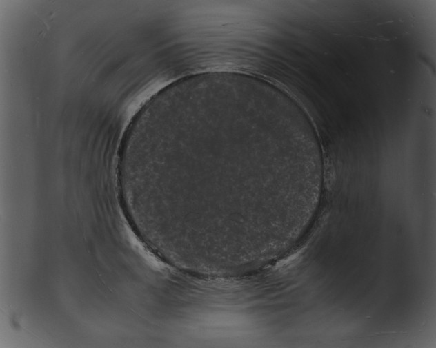 X0000103290995200809261245