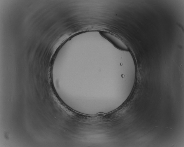X0000103290997200809261245