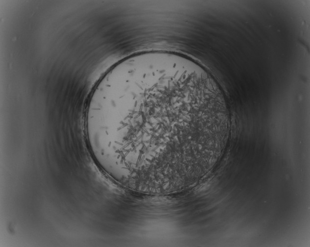 X0000103290998200809261245