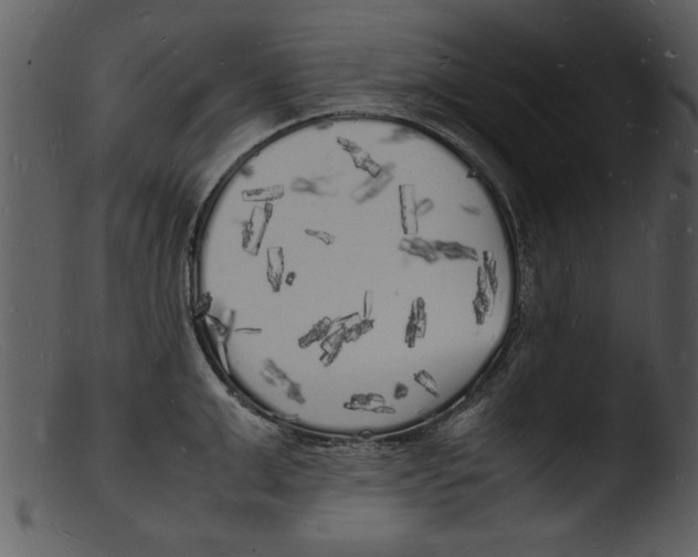 X0000103290999200809261245