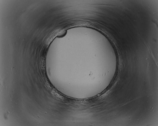 X0000103291001200809261245