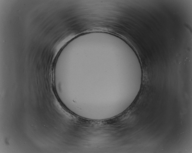 X0000103291003200809261245