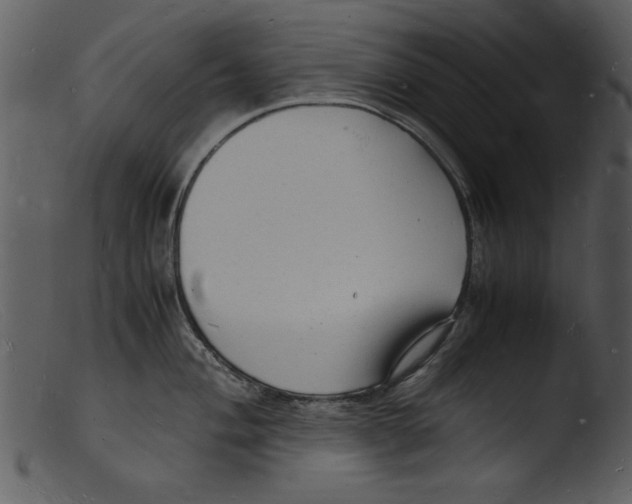 X0000103291004200809261245