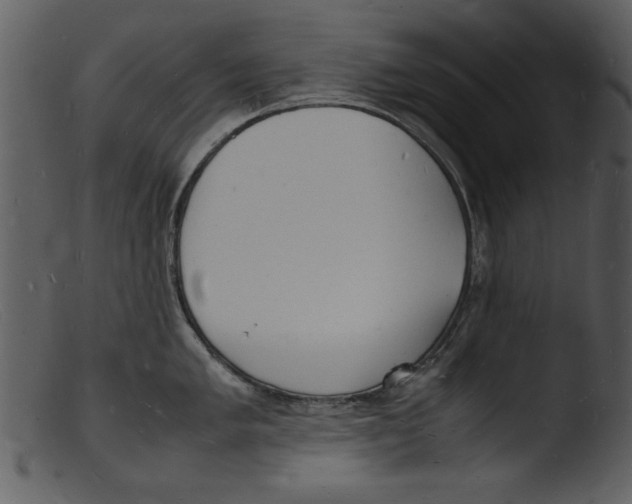 X0000103291005200809261245