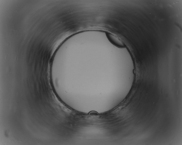 X0000103291006200809261245