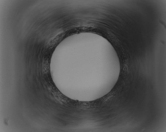 X0000103291014200809261244