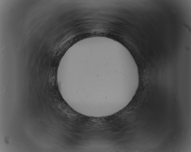 X0000103291015200809261244