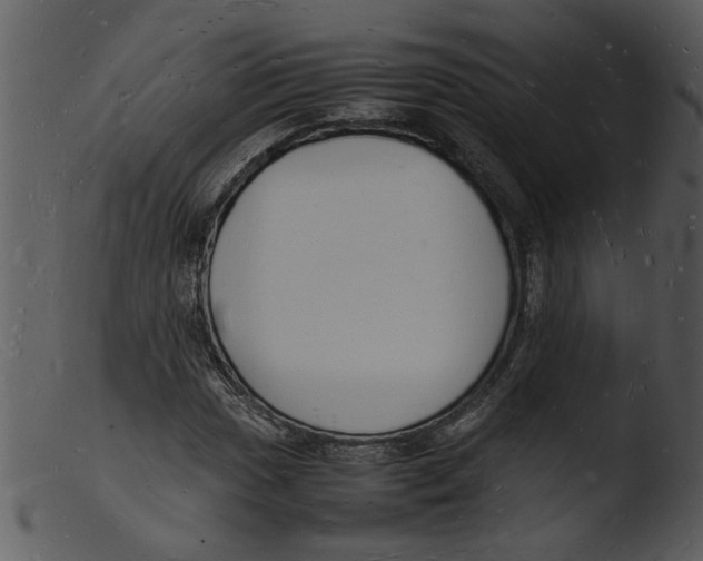 X0000103291017200809261244
