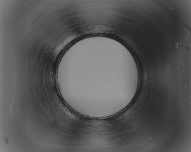 X0000103291018200809261244
