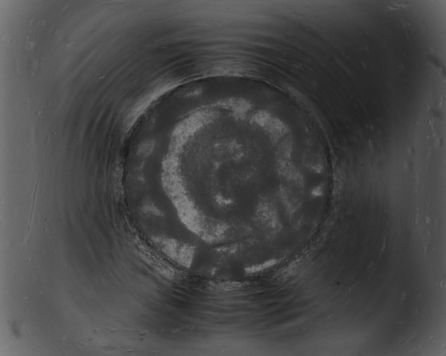 X0000103291019200809261244