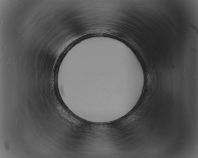 X0000103291020200809261244