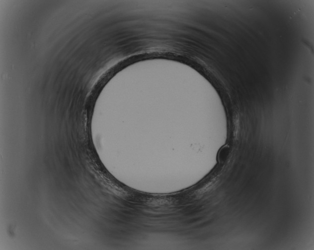 X0000103291021200809261244