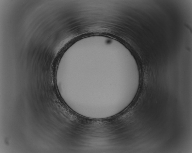 X0000103291022200809261244