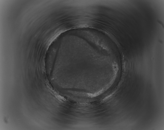 X0000103291023200809261244