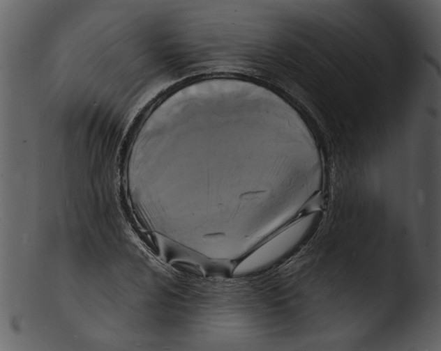 X0000103291024200809261244