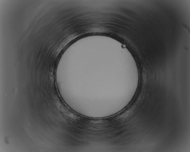X0000103291025200809261245