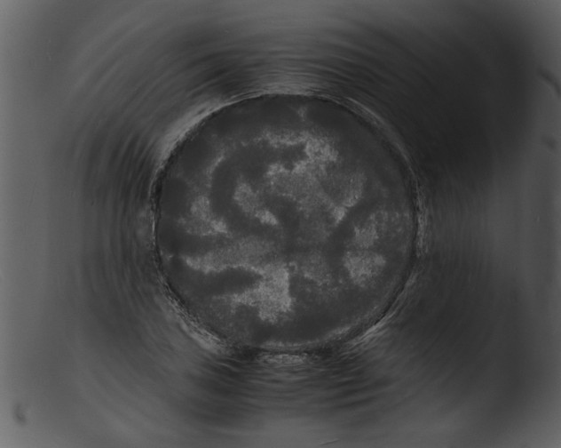 X0000103291027200809261245