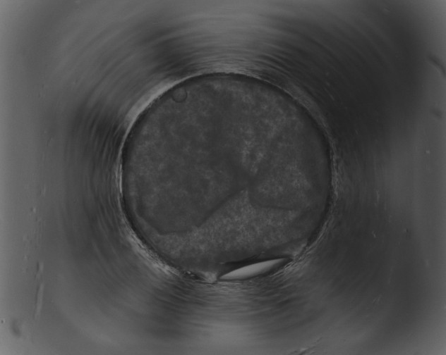X0000103291028200809261245