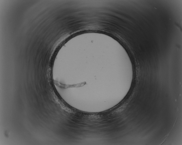 X0000103291029200809261245