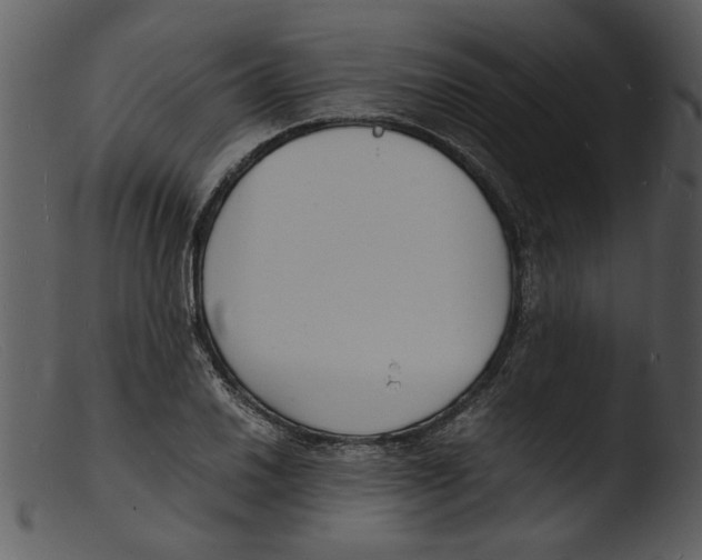 X0000103291030200809261245