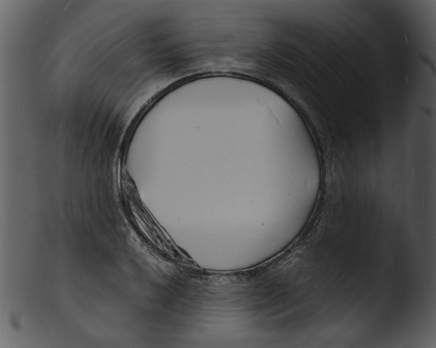 X0000103291032200809261245