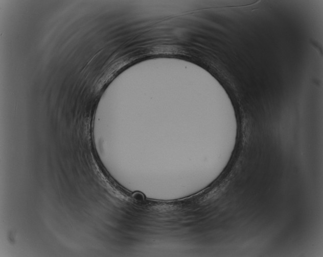 X0000103291033200809261245
