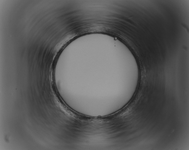 X0000103291034200809261245