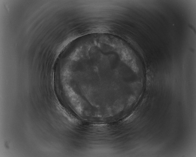 X0000103291035200809261245