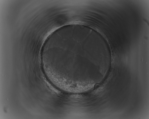 X0000103291037200809261245