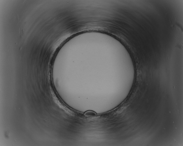 X0000103291038200809261245