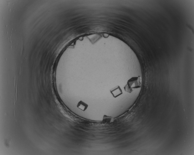 X0000103291039200809261245