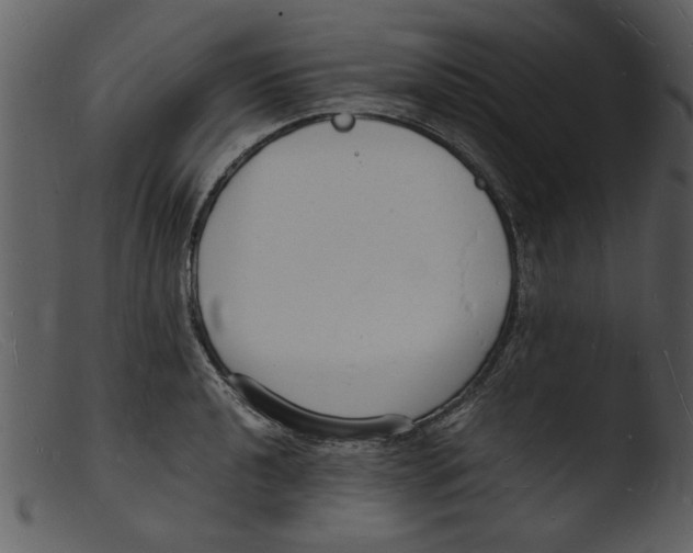 X0000103291040200809261245