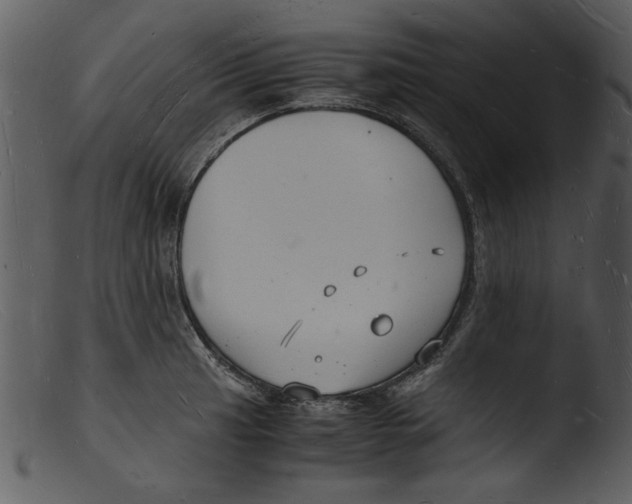 X0000103291041200809261245