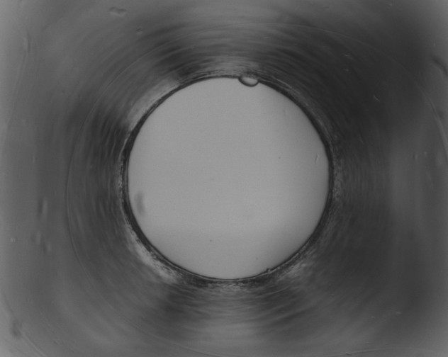 X0000103291042200809261245