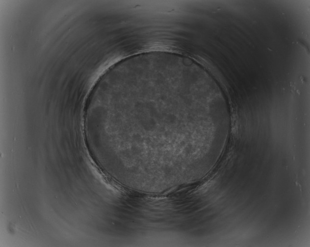 X0000103291043200809261245