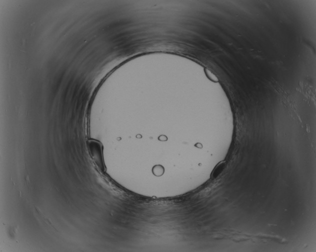 X0000103291044200809261245