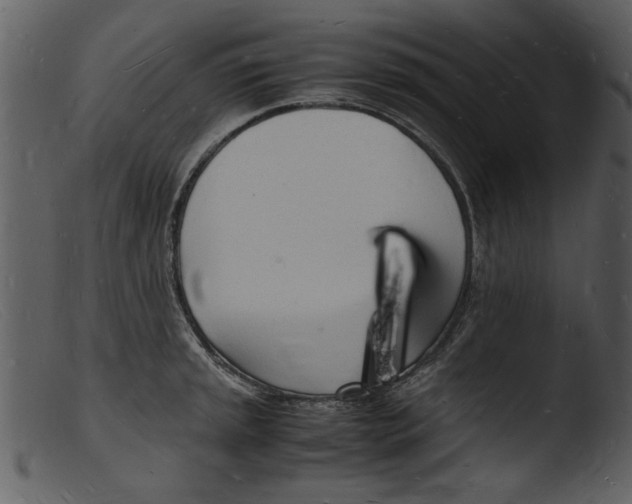 X0000103291045200809261245