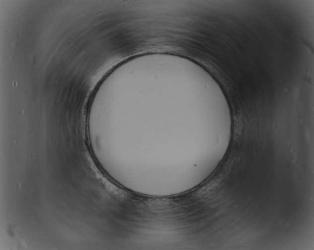 X0000103291046200809261245