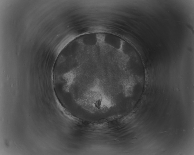 X0000103291047200809261245