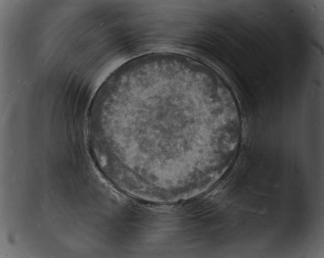 X0000103291048200809261245