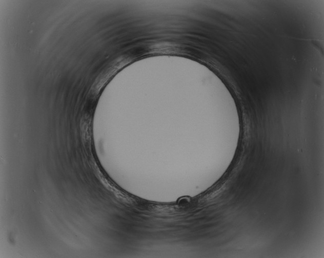 X0000103291049200809261245