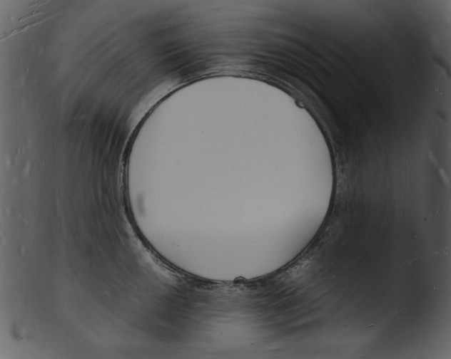 X0000103291050200809261245