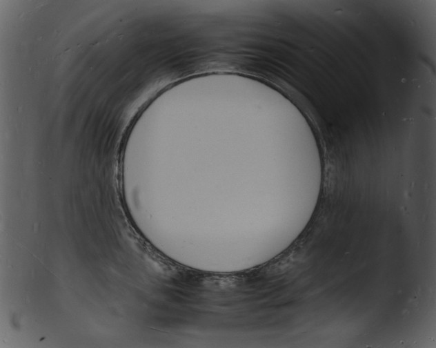 X0000103291051200809261245