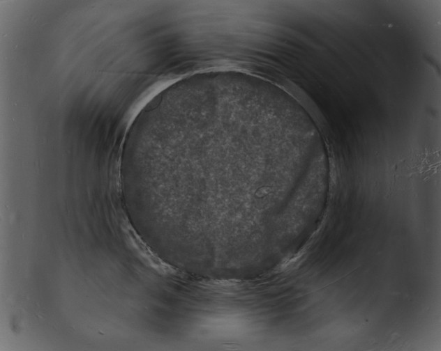 X0000103291052200809261245